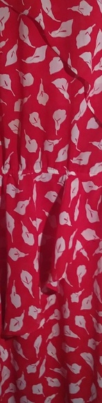 Pretty Joy Gordon red and white dress - Picture 2 of 7